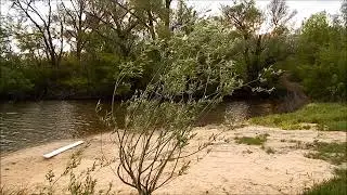 Мартоноша .  Лунина Рошу