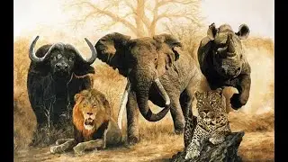 The Big 5 Kenya