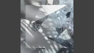 We Won't Let Go