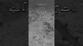 short islamic clips   #quranrecitation  quran tarjuma