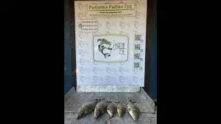 Уловы понедельника