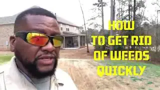 The Fastest way to get rid of weeds in Bermuda grass,  plus how to kill  lawn weeds tips.