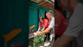 28 июня 2024 г.