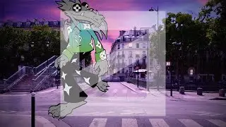 Press Digital Media Animation Reel