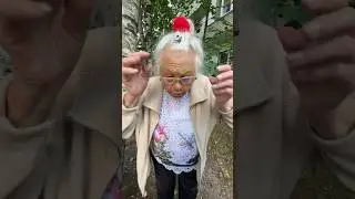 Помог бабуле