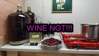 Making & Tasting Grocery Store Red Grape Wine - Wine With Me