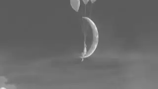 Dreamworks Animation SKG 2009 Black and White Variant PAL Speed Side Widescreen