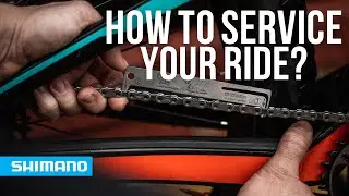 How to service your mountain bike on a regular basis | SHIMANO