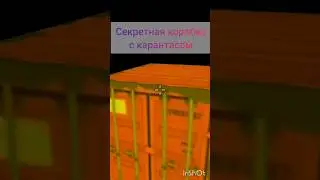Секретная коробка #chickengun
