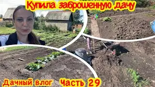 КУПИЛА ЗАБРОШЕННУЮ ДАЧУ# 29/МОЯ ДАЧА/ЗАБРОШЕННЫЙ УЧАСТОК/ЗОНА ОТДЫХА С НУЛЯ СВОИМИ РУКАМИ/МОЙ ОГОРОД