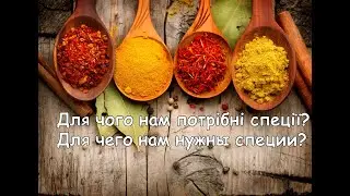 Для чого нам потрібні спеції? Для чего нам нужны специи?