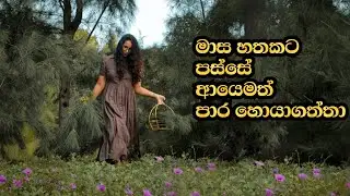 මාස  7කට පස්සෙ ආයෙමත් පාර හොයා ගත්තා | Natural  outdoor/indoor Christmas decoration