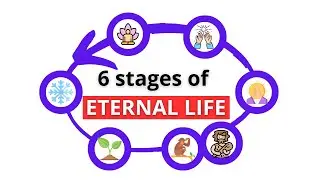 6 Stages of eternal life and its logic - From minerals to spiritual realms