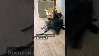 Кот Оскар и косплей) #кот #котка #оскар #битлджус