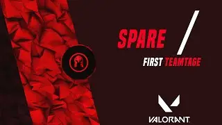 / SPARE / 1 . a VALORANT TEAMTAGE