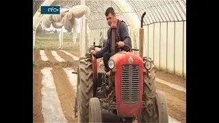 Plastenička proizvodnja u Mašićima