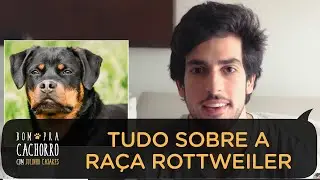 TUDO SOBRE A RAÇA ROTTWEILER | BOM PRA CACHORRO