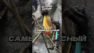 Самая сложная РАБОТА 🍯