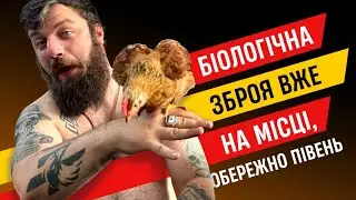 ПІВЕНЬ на базі, маленький пірнатий побратим