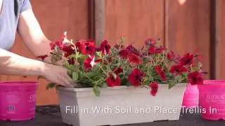 Good Idea with Wave Petunias: Tidal Wave Trellis
