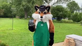 Furry Barista, furry coffee, furry cafe