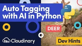Tag Images Automatically with AI in Python Using Google Auto Tagging & Cloudinary - Dev Hints