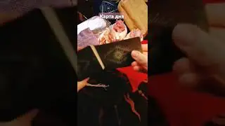 карта дня 