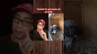 No lo niegues... #funnyvideo #funnyshorts #funnyanimals #humor