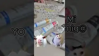No todo es tan fácil, o si? 😂😂 #Short #Meme #Humor