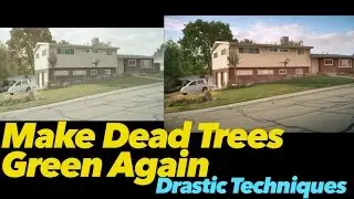 Make dead trees green with DaVinci Resolve -Drastic Techniques