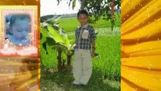 jibob new