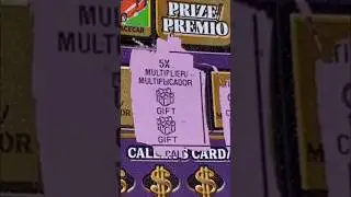 BIG LOTTERY WINNER!  #arplatinum #lottery #bigwin #fyp #shorts