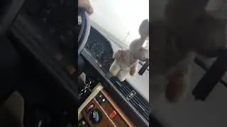 Мерседесом 124 после замены двигателя