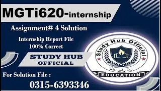 MGTI620 Assignment 4 solution Internship Report mgti620 