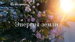 Женская энергия (походка)