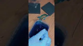 Понравился ли мне процесс? 🤔 Смотри большое видео 🐬