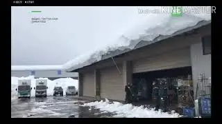 Василий Алибабаевич плохого не посоветует
