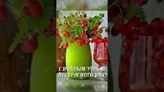 Доброе утро, всем! Прекрасного дня!