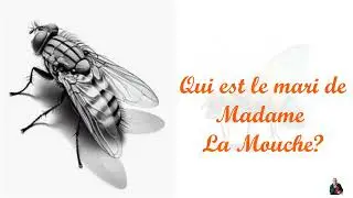 Французский язык. Кто муж мухи. Qui est le mari de Madame La Mouche..