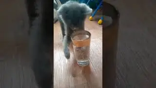 Жажда🧊