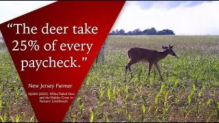 Crop Damage and Farmers’ Livelihoods
