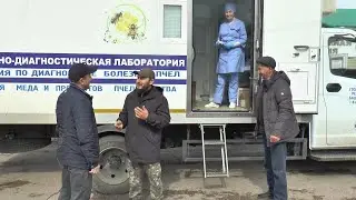 Альшеевский мёд проверили в мобильной лаборатории