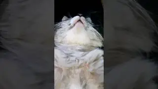 Короче, устал 😅