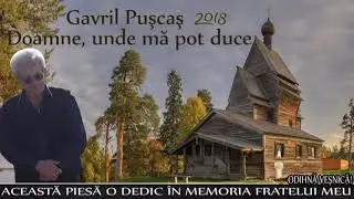Gavril Puscas - Doamne unde ma pot duce (2018)