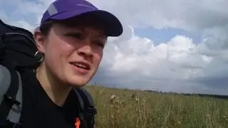 Радиалка. разметка трассы