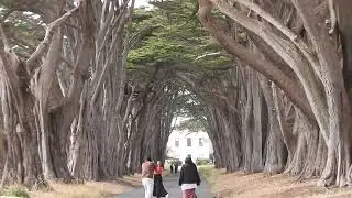 Our trip to Point Reyes National Seashore  7/29/23