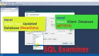 Synchronize Database, Update Client Database Using SQL EXAMINER