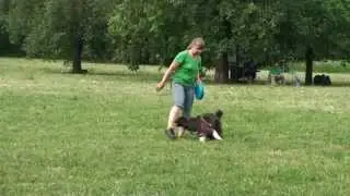 Frisbee Freestyle Елена и Мыша