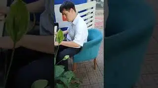 Генри Манчини. Розовая пантера - исполняет Владислав Аграмаков