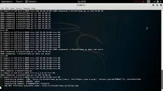 Wordpress scan TOR & proxychains Kali linux